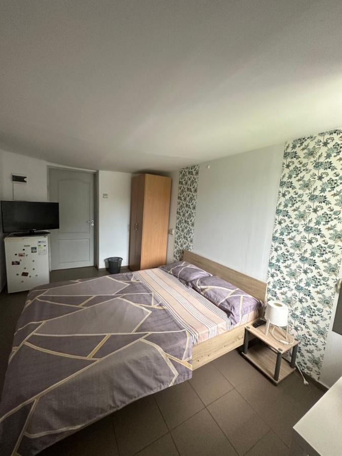 Camere De Inchiriat David Casa David Corbu Ngoại thất bức ảnh