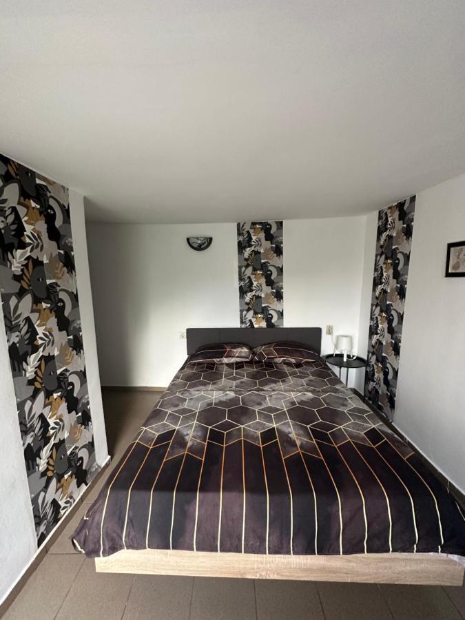 Camere De Inchiriat David Casa David Corbu Ngoại thất bức ảnh